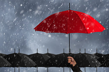 casestudy-finance-insurance
