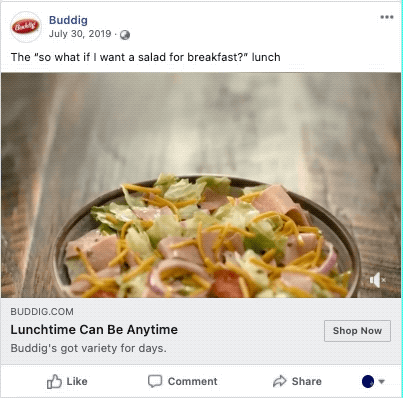 Buddig_Late Morning_in context-1